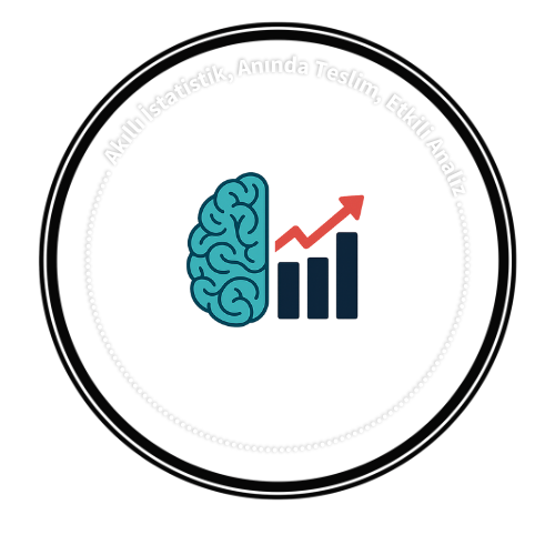Akıllı İstatistik Logo